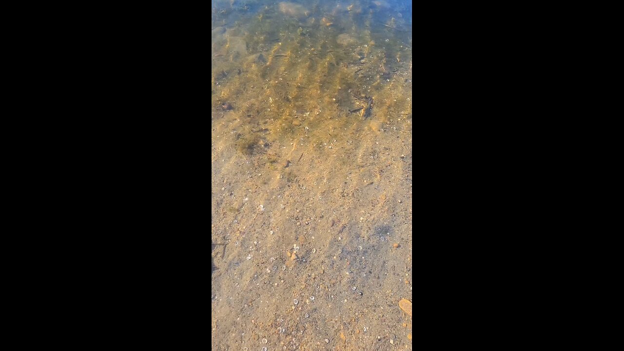 #foryoupage#viralvideo