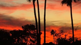 GMS: Remnant Saved 144 is live! 12.16.25 - Greatmillstone