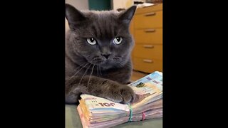 This is a real banker!