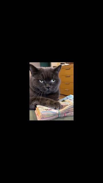 This is a real banker!