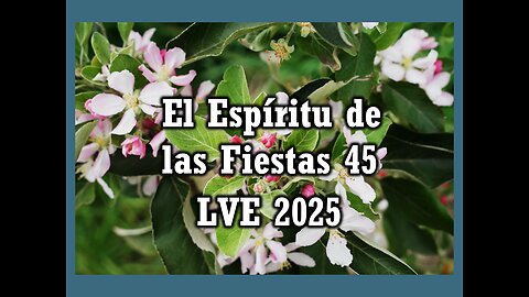 El Espíritu de las Fiestas 45