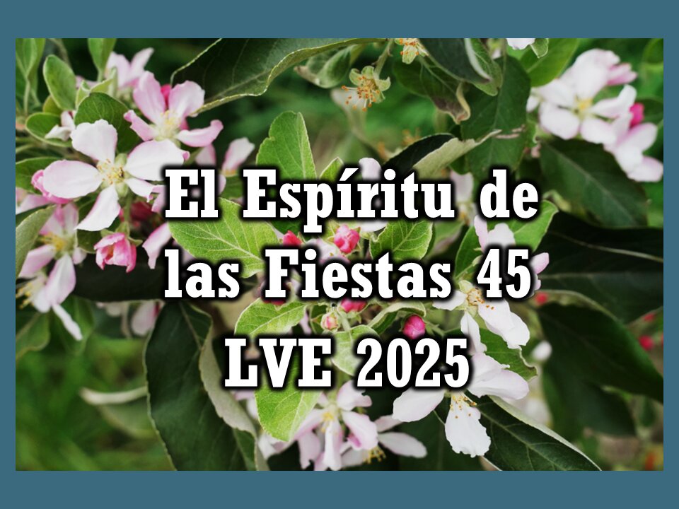 El Espíritu de las Fiestas 45