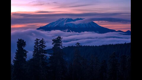 KJ's What Happened? (1/31/26)