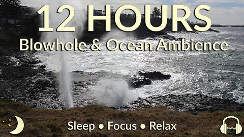 12 Hours of Blowhole & Ocean Ambience | Rhythmic Waves for Sleep, Focus & Relaxation