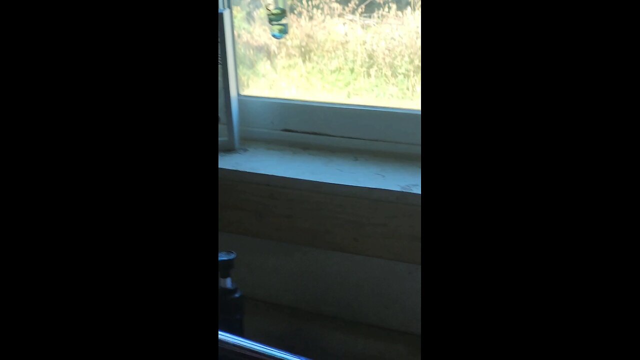 They're Back...
