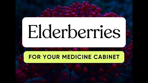 Elderberries For Your Medicine Cabinet
