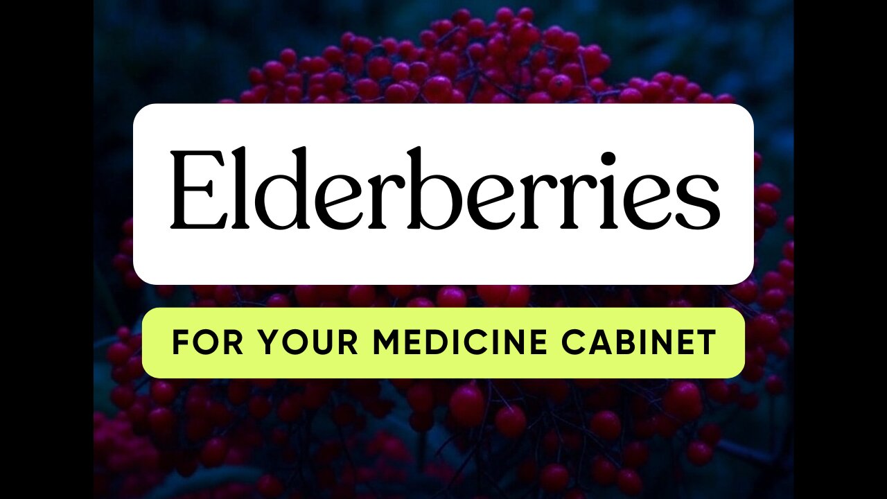 Elderberries For Your Medicine Cabinet
