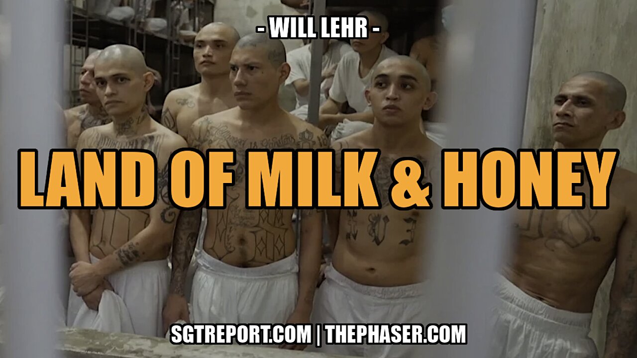 THE LAND OF MILK & HONEY -- Will Lehr