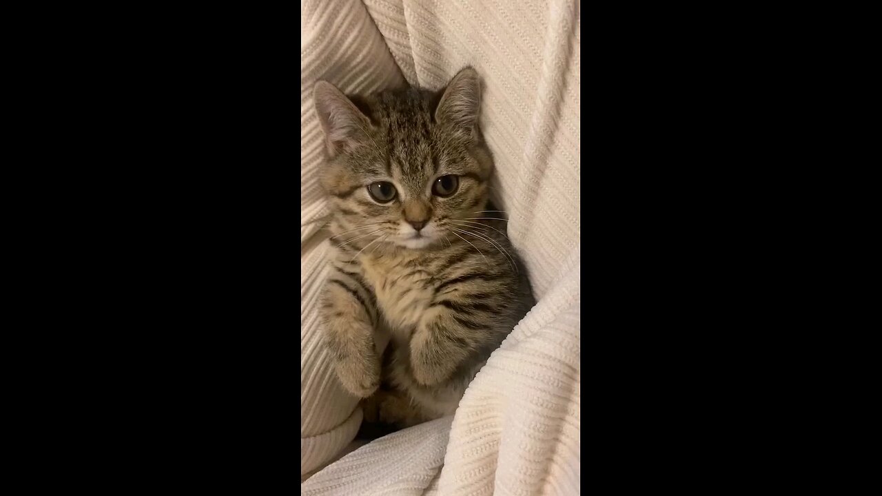 Its really amazing to play with her