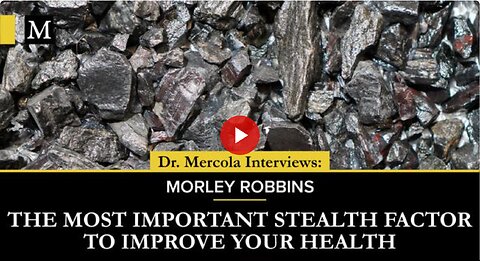 The Most Important Stealth Factor to Improve Your Health - Interview with Morley Robbins