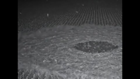 Crop Circle Being Created