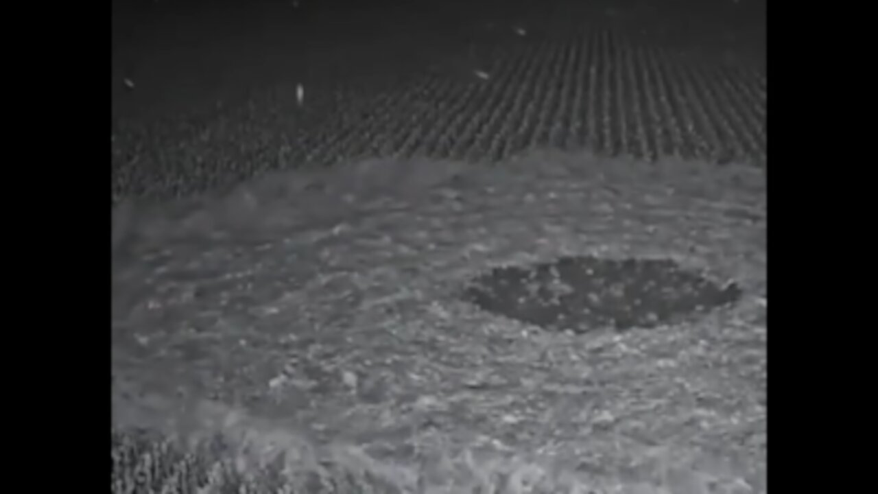 Crop Circle Being Created