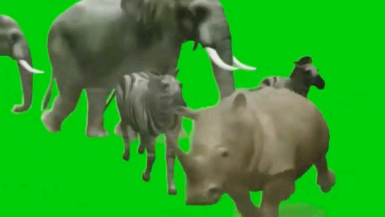 Preview 2 Stuff V553