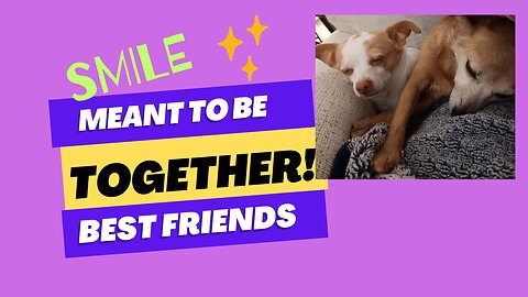 Everyone Needs a Friend 🙂