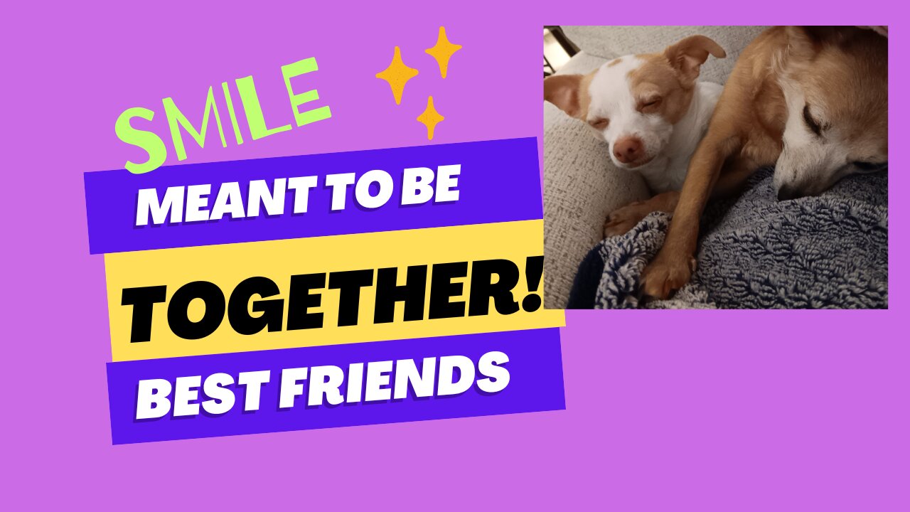 Everyone Needs a Friend 🙂