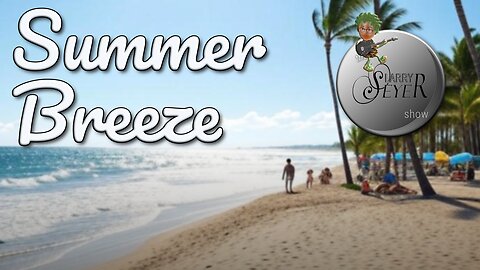 The Larry Seyer Show - Summer Breeze