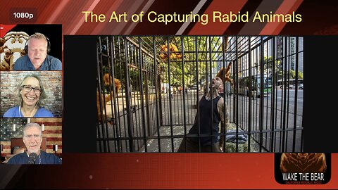 Wake the Bear Radio - Show 205 - The Art of Capturing Rabid Animals