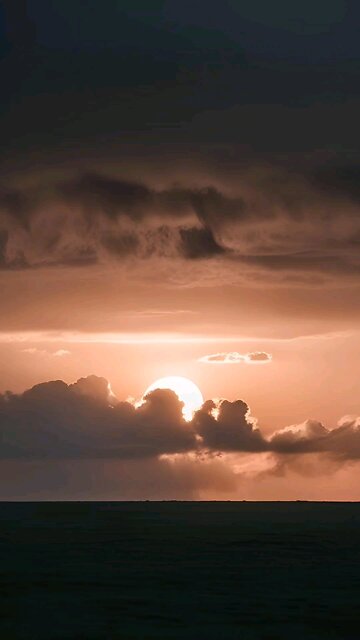 Crucify! afresh this flesh daily!