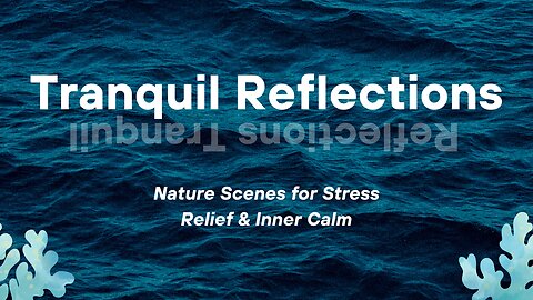 TranquilReflections | 4K Relaxing Music & Nature Scenes for Stress Relief & Inner Calm