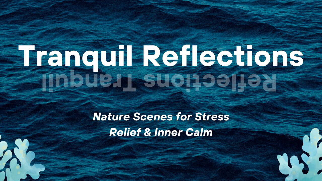 TranquilReflections | 4K Relaxing Music & Nature Scenes for Stress Relief & Inner Calm