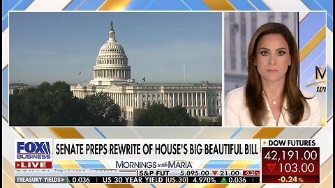 GOP lawmaker says there are 'more savings to be had' in the 'big, beautiful bill'