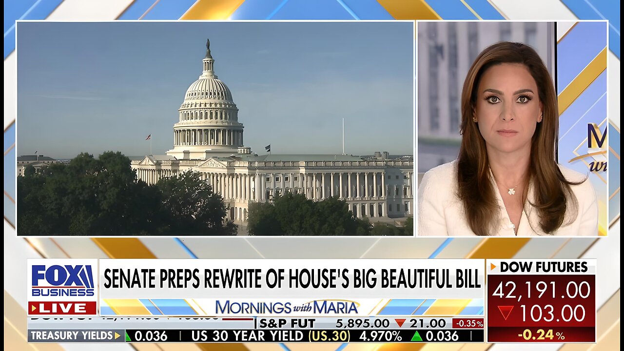 GOP lawmaker says there are 'more savings to be had' in the 'big, beautiful bill'