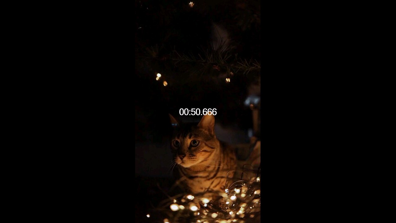 اكتب شيء تؤجر عليه 😴♥ #trend #trending #shorts #quran