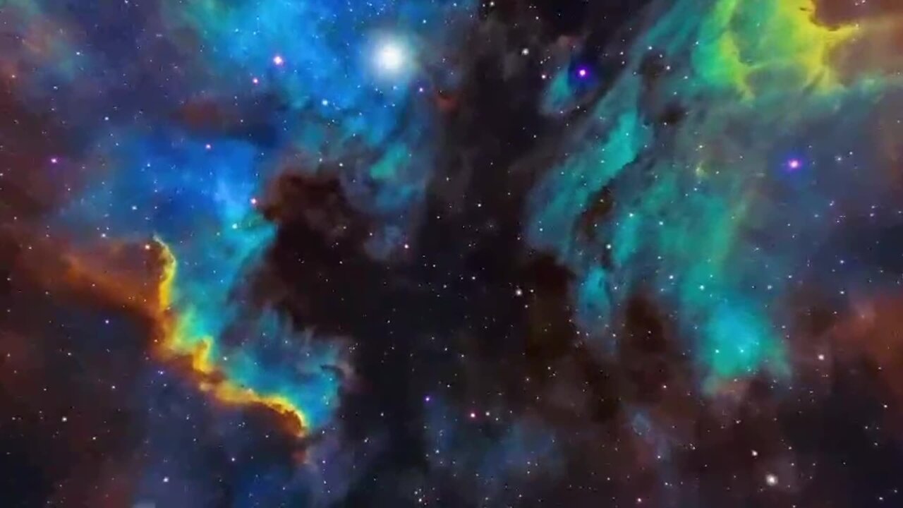Wake Up With The Wayniac- LIVE