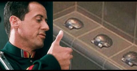 Dr. Renée Hoenderkamp on the UK government's desperate