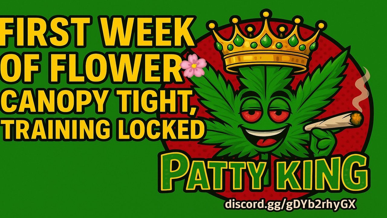 First Week of Flower 🌸 | Canopy Tight, Training Locked 🔥