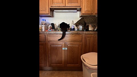 Caught in the act!