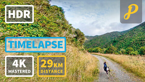Summer Gravel Cycling 224 - Kaitoke to Cross Creek Return - 4K #timelapse
