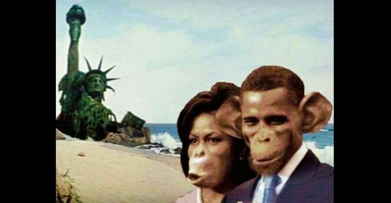 MONKEY LIVES MATTER