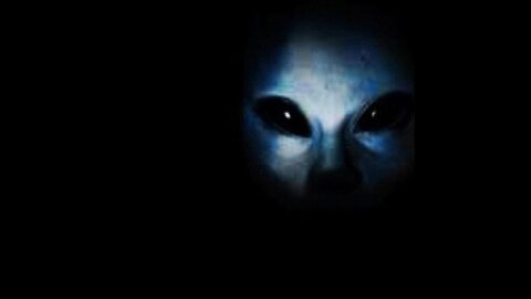 The Alien Constitution