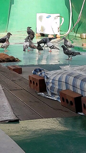 20250723. My God with me Always. Amen.