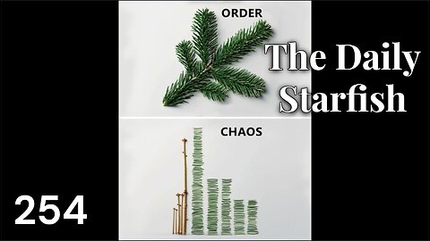 The Daily Starfish #254