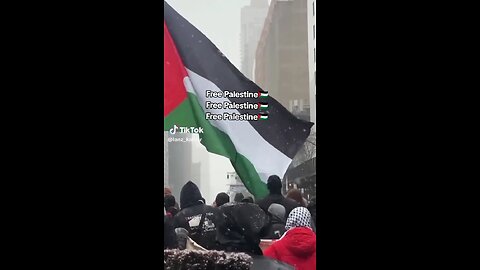 🇵🇸🇵🇸🇵🇸🇵🇸🇵🇸🇵🇸🇵🇸🇵🇸🇵🇸🇵🇸🇵🇸🇵🇸🇲🇦🇲🇦🇲🇦🇲🇦