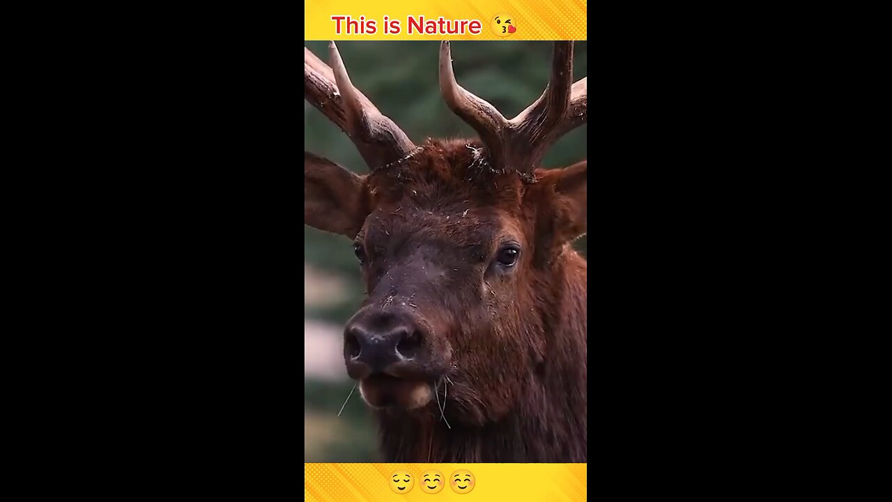 This is The Nature 😘