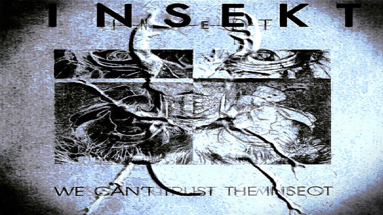 INSEKT - Compilation #1: 1989-1990