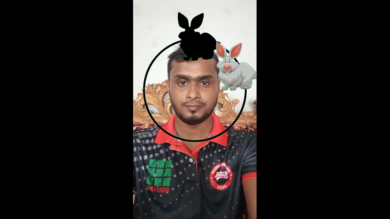 খরগোশটি সঠিক জায়গায় বসান #reels #puzzle #viralreelsシ #saggestforyou #tending