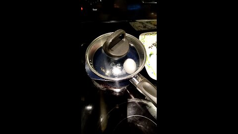 Eating Eggland's Best Eggs, Dbn, MI, 7/18/25