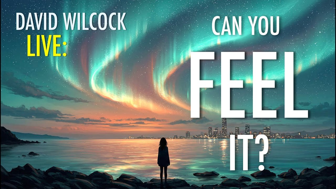 David Wilcock LIVE: Can You Feel It?