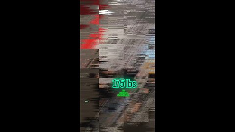 175lbs Rear Delt Flys (Lite) | #fitness #shorts #delts 💪