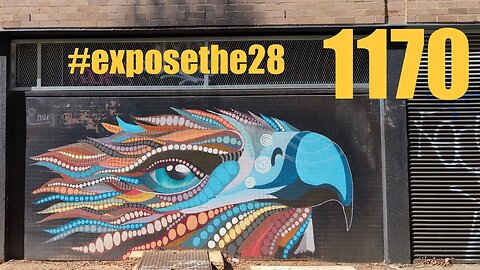 We See You. Our Eagle Eyes See The Truth #exposethe28 #exposechildtrafficking (ft Kane Obz & Ilaina)