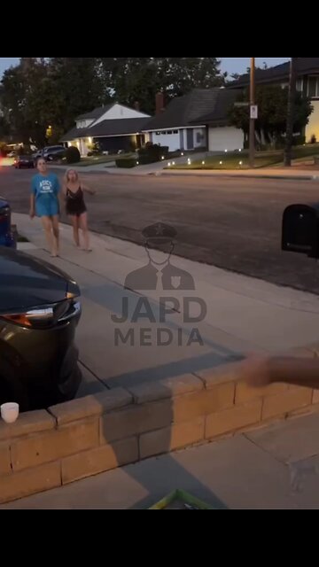 Granny Goes on Fireworks Rampage 🎆😹 #fireworks #japd