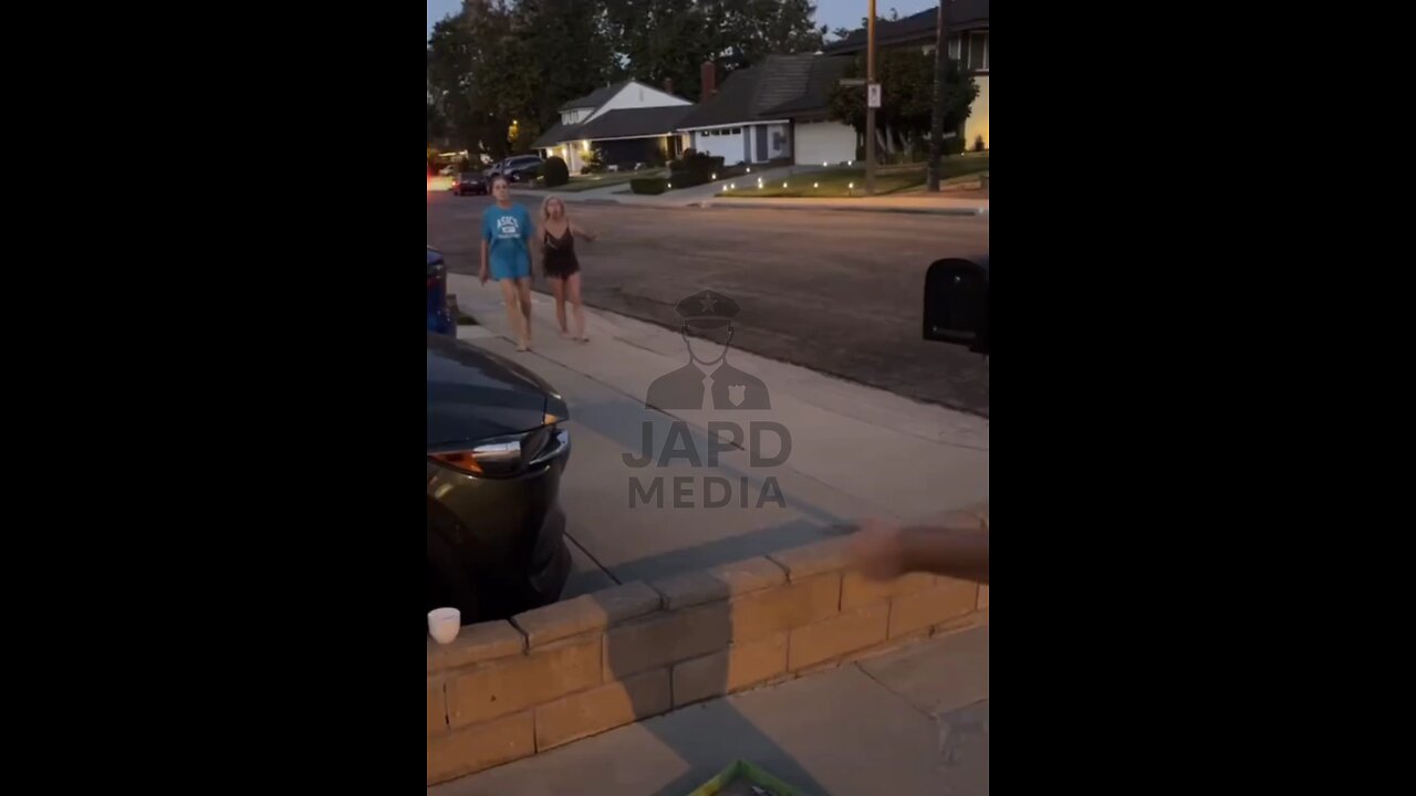 Granny Goes on Fireworks Rampage 🎆😹 #fireworks #japd