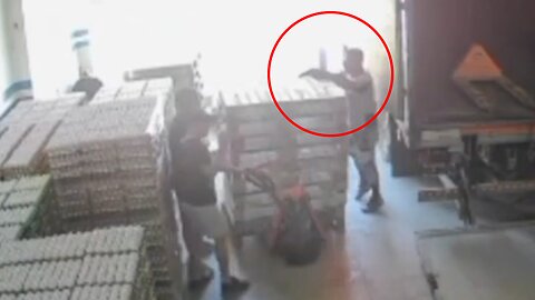 Abate a un ladrón durante robo a empresa avícola en Buenos Aires