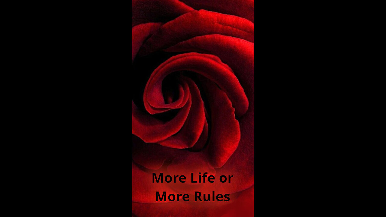 Adele 🧡 469 ~ More Life or More Rules