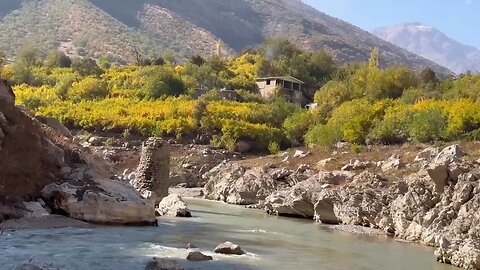 Cooking by the River _ Preparing Stuffed Fish in Authentic Iranian Style