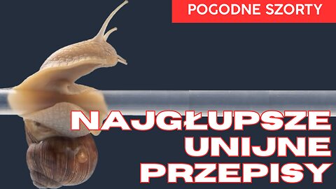 Najgłupsze unijne przepisy | Pogodne Szorty #241